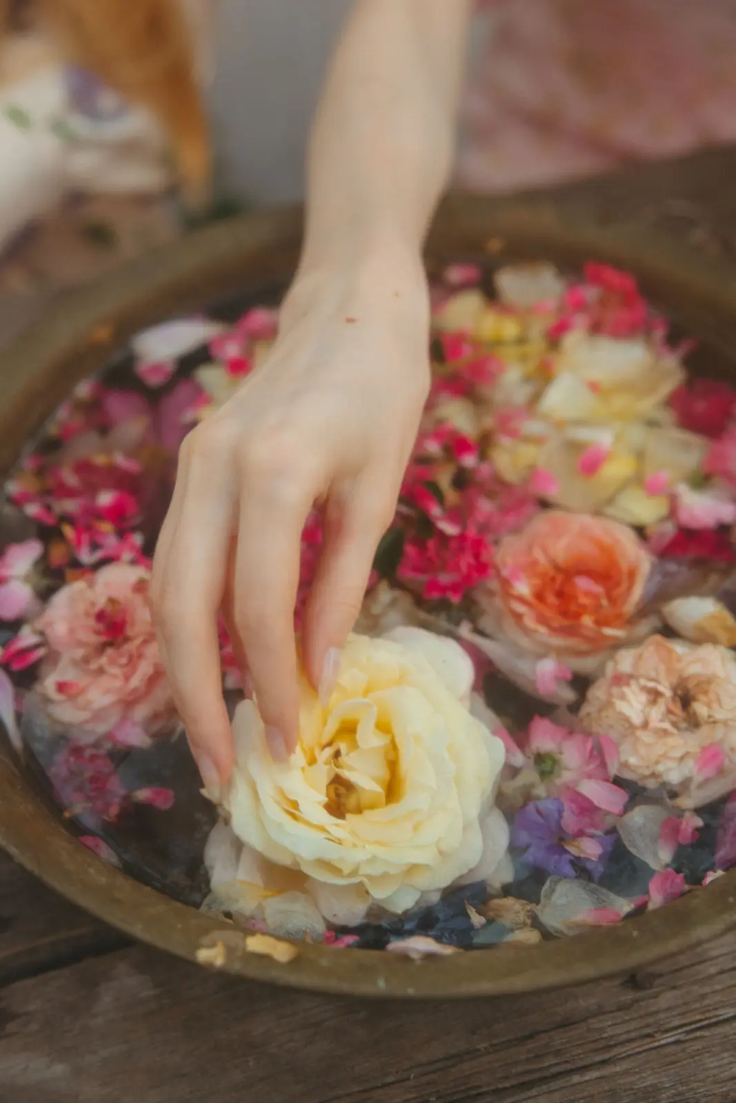گل تازه در آب؛ همان کاری که بخار با گلبرگ میکند، فقط آرامتر.